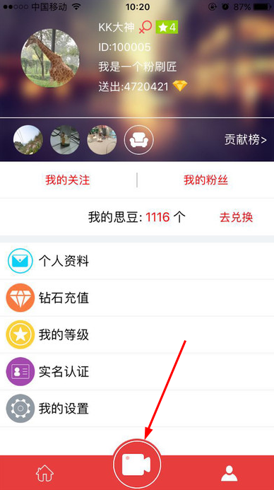新任教皇是什么来头